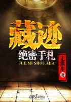 藏迹：绝密手札